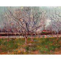 Orchard in Blossom 3