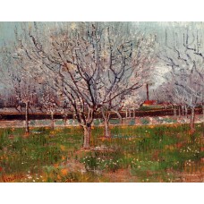 Orchard in Blossom 3