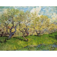 Orchard in Blossom 4