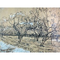 Orchard with blossoming plum trees the white orchard