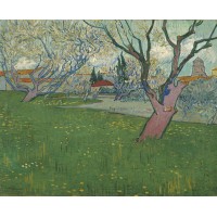 Orchards in blossom view of arles