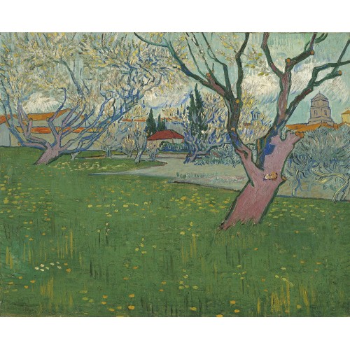 Orchards in blossom view of arles