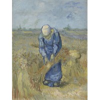Peasant woman binding sheaves after millet