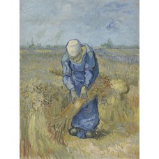 Peasant woman binding sheaves after millet