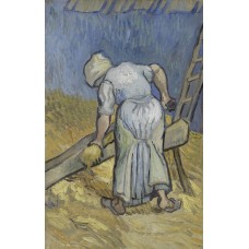 Peasant woman cutting straw after millet