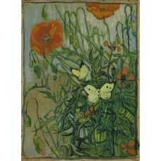 Poppies and butterflies