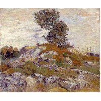 Rocks with Oak Tree