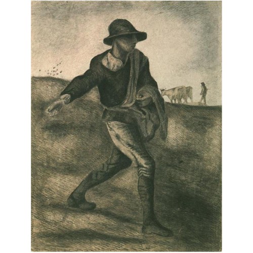 Sower after millet