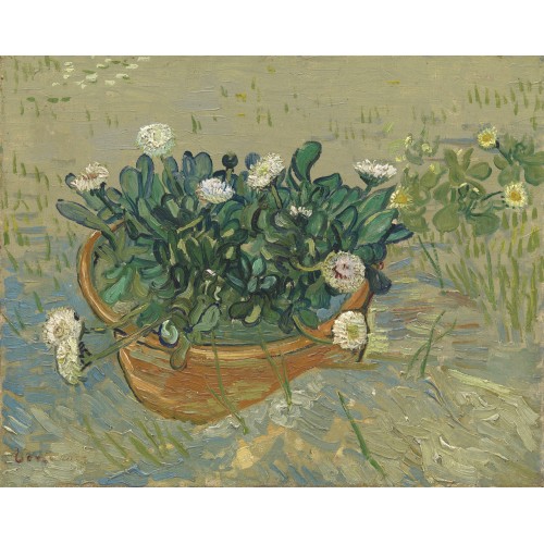 Still life bowl with daisies