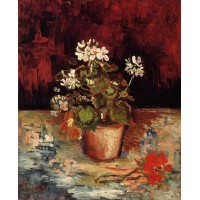 Still Life Geranium in a Flowerpot