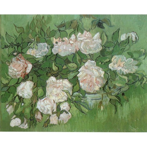 Still Life Pink Roses