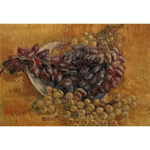 Still Life with Grapes