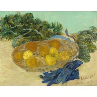 Still life with oranges and lemons with blue gloves