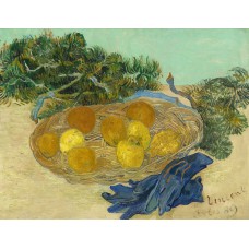 Still life with oranges and lemons with blue gloves