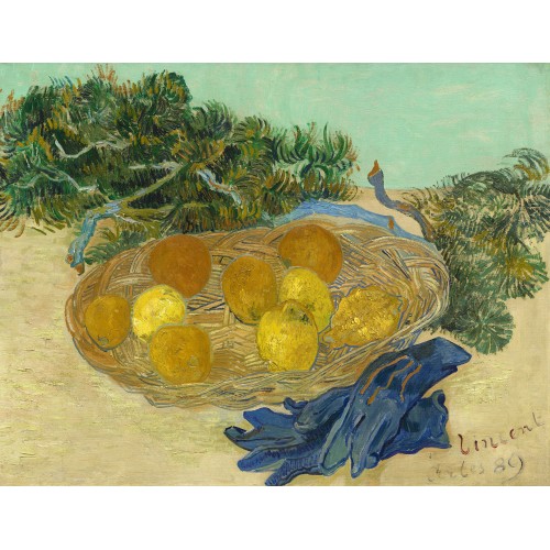 Still life with oranges and lemons with blue gloves