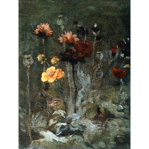 Still life with scabiosa and ranunculus