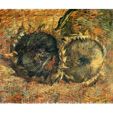 Still life with two sunflowers