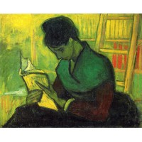 The novel reader