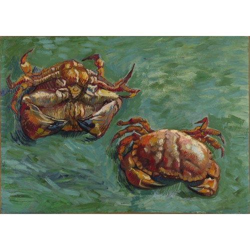 Two crabs