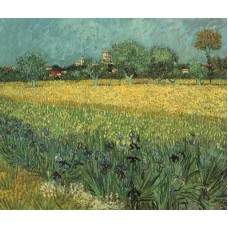 View of Arles with Irises in the Foreground