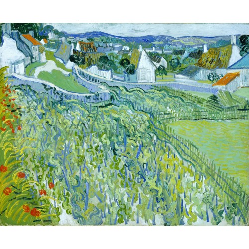 Vineyards with a view of auvers