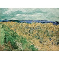 Wheat field with cornflowers