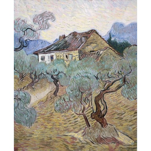 White cottage among olive trees
