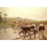 Cattle In A Pasture