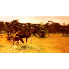 Moose with her Calf in a Landscape
