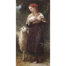 The Newborn Lamb