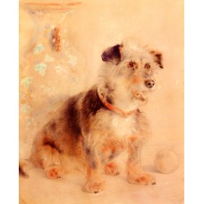 Terrier Seated Before A Canton Famille Rose Vase