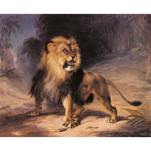 A Lion