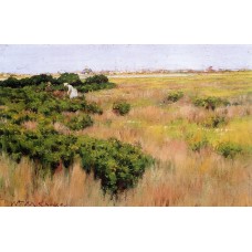 Landscape near Coney Island