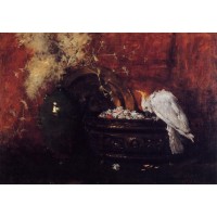 Still Life with Cockatoo