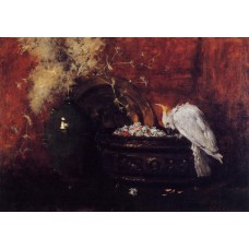 Still Life with Cockatoo