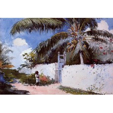 A Garden in Nassau