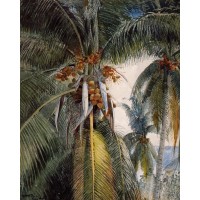 Coconut Palms Key West