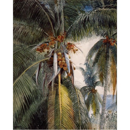 Coconut Palms Key West