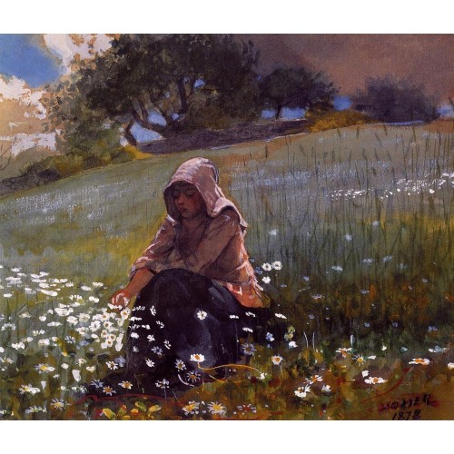 Girl and Daisies