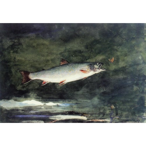 Leaping Trout 1