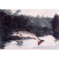 Leaping Trout 3