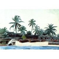 Negro Cabins and Palms