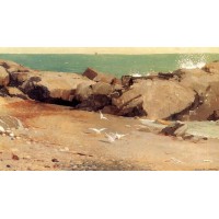 Rocky Coast and Gulls