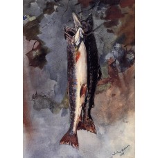 Two Trout 2