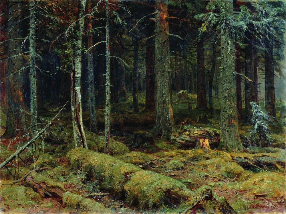 dark-forest-1890.jpg