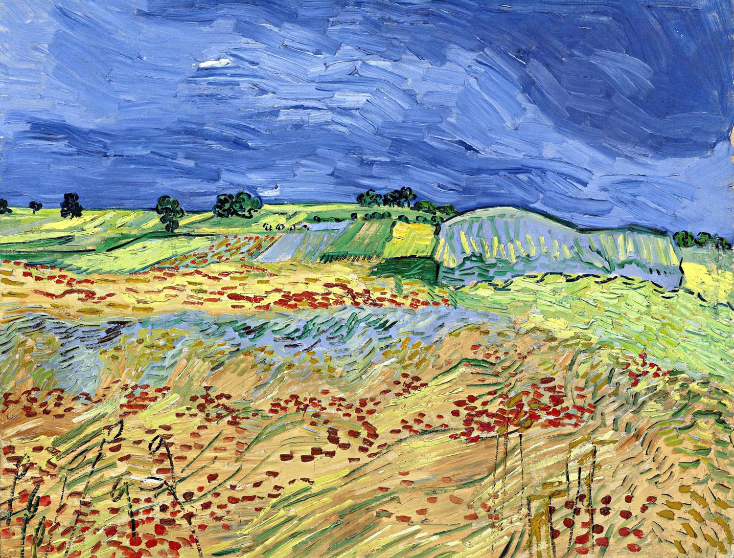 The Fields Vincent Van Gogh Oil Painting Reproduction China Oil